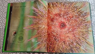 libros (5)