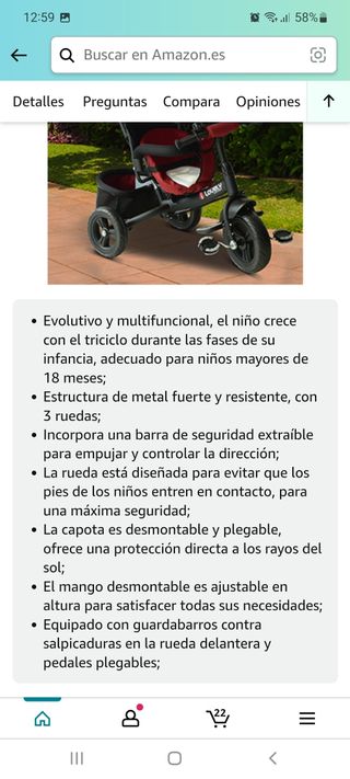 Carro triciclo paseo infantil