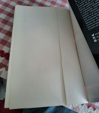 Memorias de una salvaje