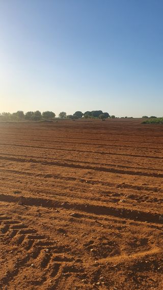 Terreno en venta
