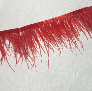Tira 10m plumas avestruz rojas mercería