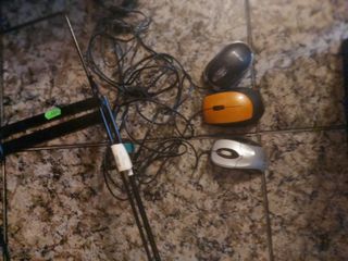 Ratones