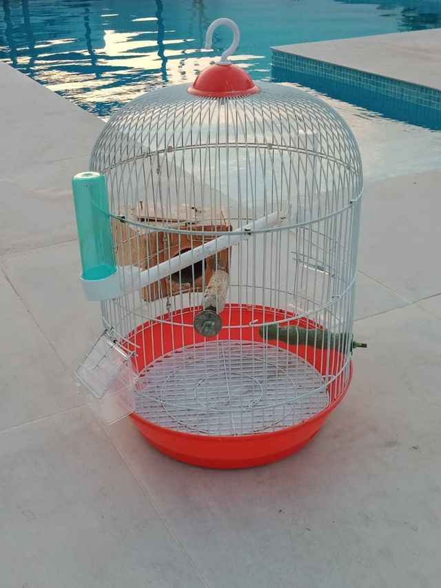 2 jaulas para pájaros 8€por unidad