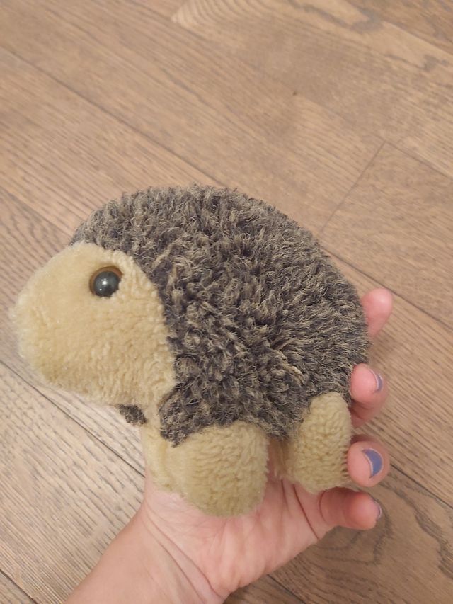 Peluche riccio.