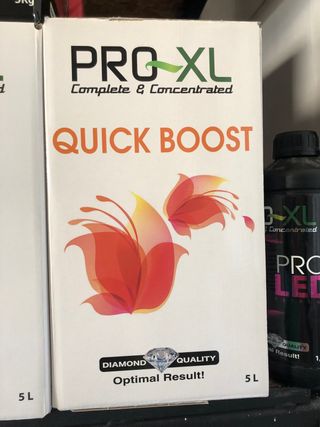 pro xl