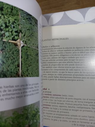libro El gran libro de la jardineria
