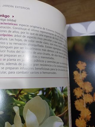 libro El gran libro de la jardineria