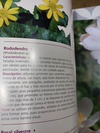 libro El gran libro de la jardineria