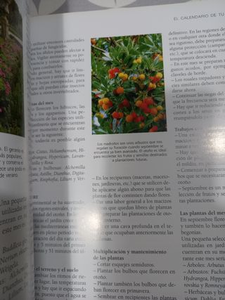 libro El gran libro de la jardineria