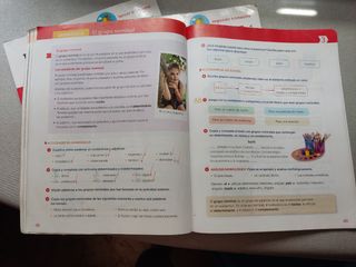 LIBROS LENGUA 4° PRIMARIA SANTILLANA
