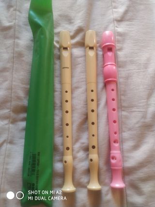 35 euros Flauta Yamaha más funda