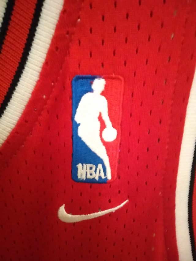 Camiseta Bulls NBA Nike