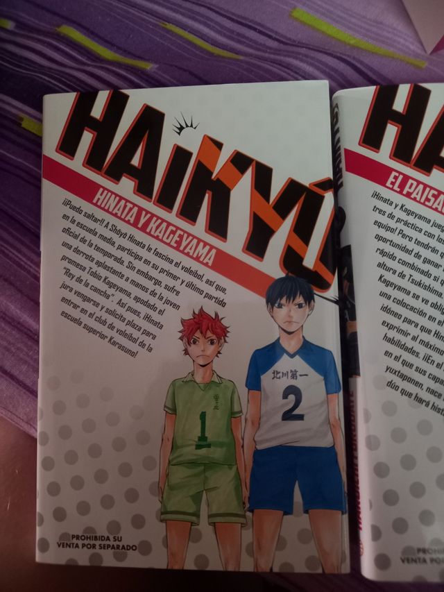 Manga Haikyuu!!