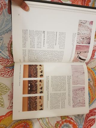 Libro y atlas sobre Traumatismos dentales