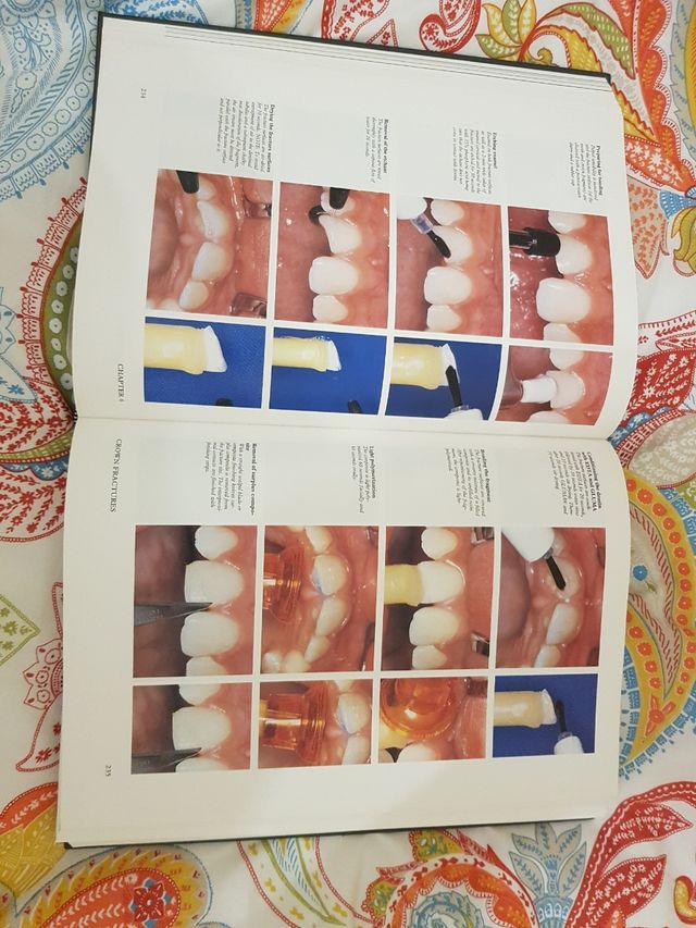 Libro y atlas sobre Traumatismos dentales