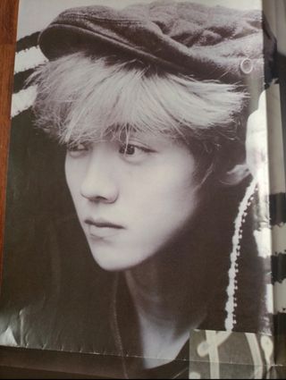 Poster blanco y negro grupo Exo de Kpop