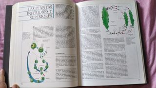 Libro de Ciencias Naturales. VOX