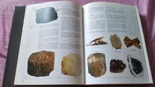 Libro de Ciencias Naturales. VOX