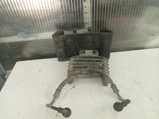 Radiador Daelim 125cc Custom