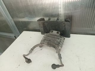 Radiador Daelim 125cc Custom