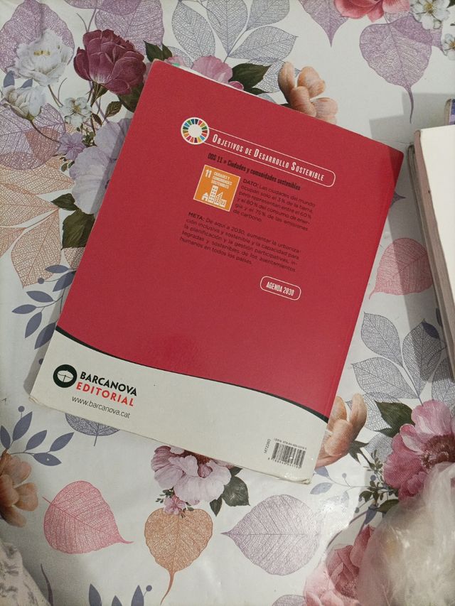 Como comprar datolan