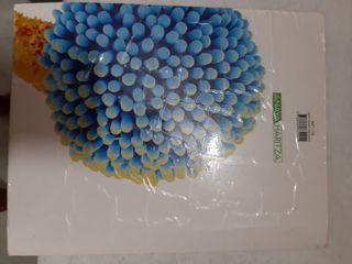 Libros de texto. Biología. 2 Bachillerato