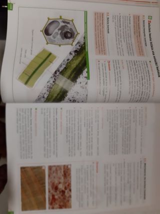 Libros de texto. Biología. 2 Bachillerato