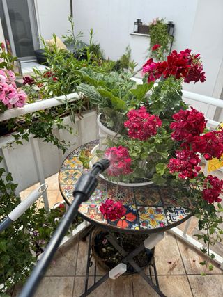 Riego automático ...jardines con o sin piscina