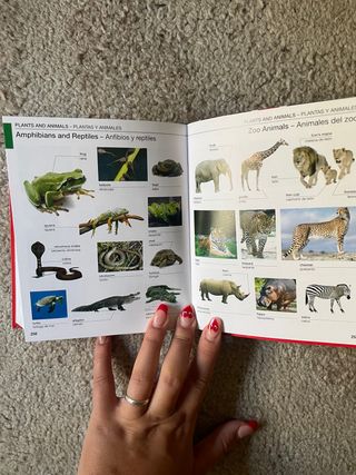 diccionario ingles-español visual