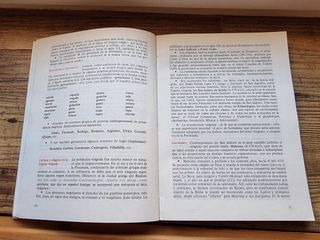 Lengua española:Historia, teoría y práctica I