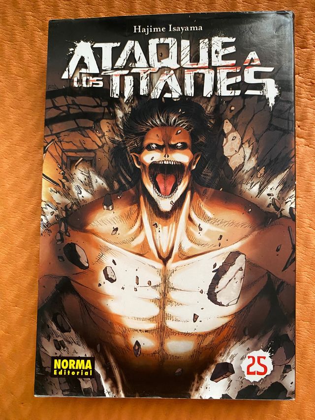 Ataque a los titanes 25