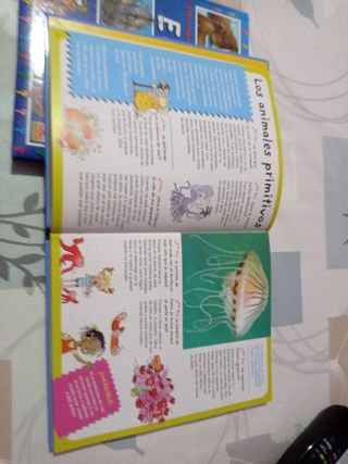 Libro infantil los animales,el mar