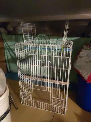 Jaula de loro, ninfas, etc.