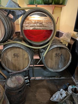 Barricas de Vino Grandes