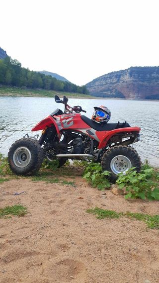 Gas gas wild 300 2002