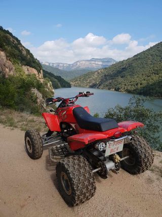 Gas gas wild 300 2002