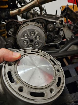 Gas gas wild 300 2002