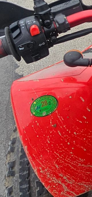 Gas gas wild 300 2002