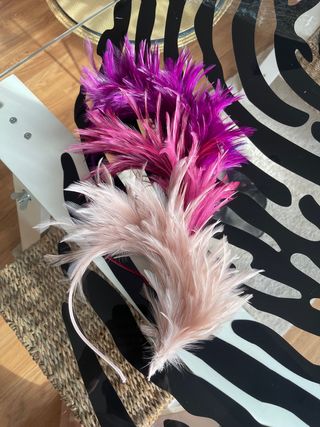 diadema de plumas