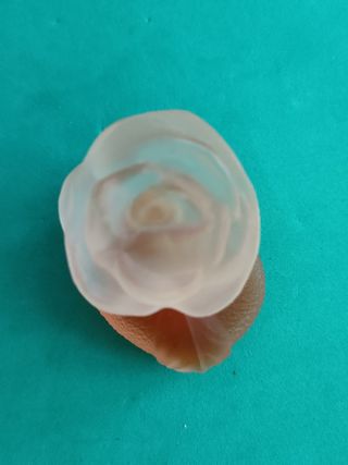 Miniatura de colección de fragancia