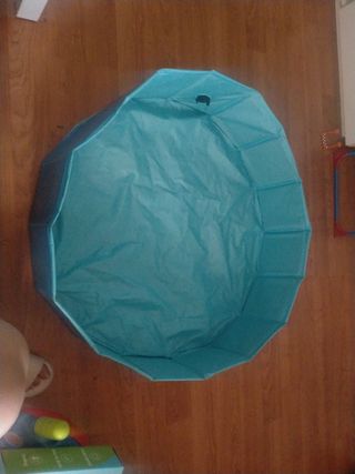 Piscina de perro