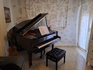 Piano de Cola Brodman