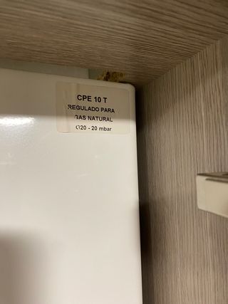 Calentador de gas estanco