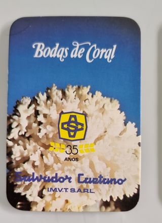 12 Calendários SALVADOR CAETANO 1982_00