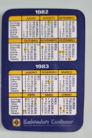 12 Calendários SALVADOR CAETANO 1982_00