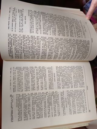 Biblia antigua ilustrada