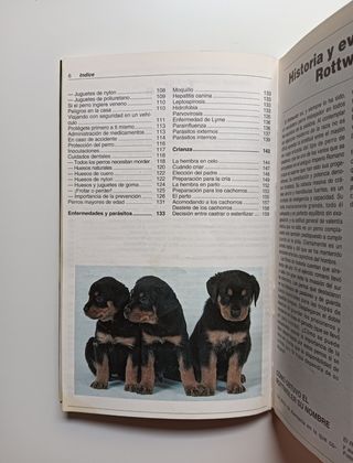 El rottweiler.