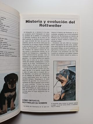 El rottweiler.