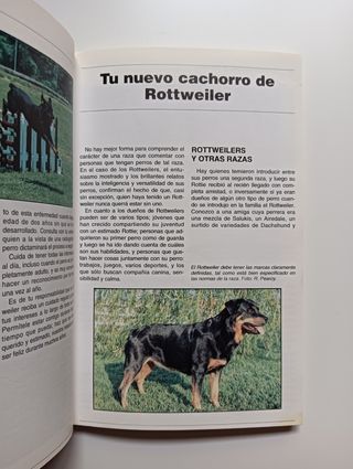 El rottweiler.