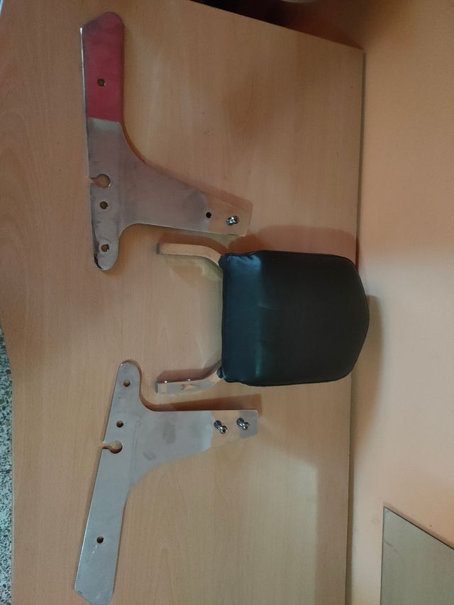 Respaldo Harley Davidson Sportster